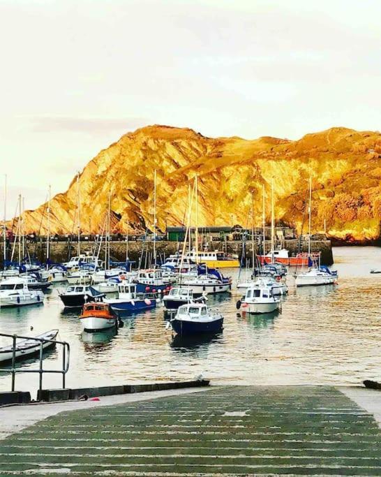 Paramount Apartments Ilfracombe, Arty Seaside Holiday Apartments מראה חיצוני תמונה