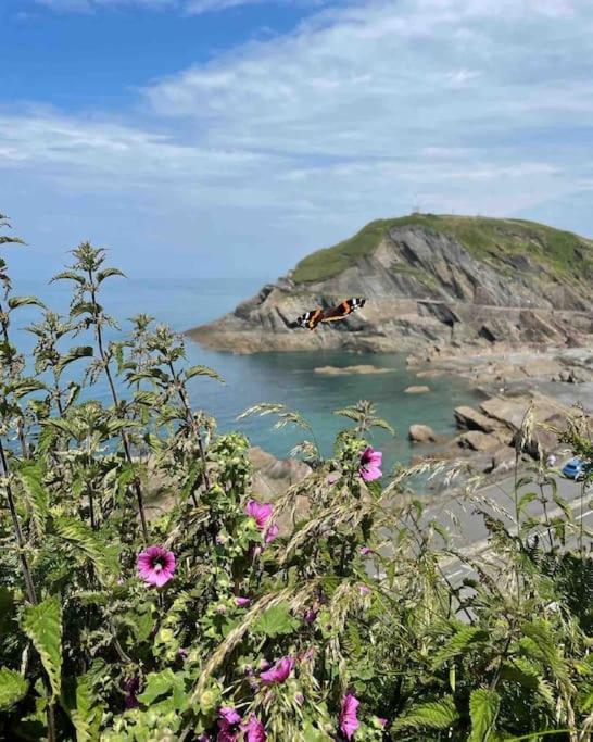 Paramount Apartments Ilfracombe, Arty Seaside Holiday Apartments מראה חיצוני תמונה